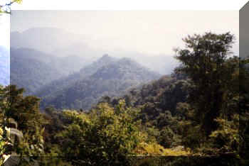 Parque Nacional Calilegua