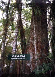 Flora del Parque Nacional